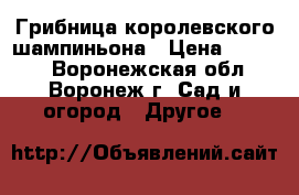  Грибница королевского шампиньона › Цена ­ 2 500 - Воронежская обл., Воронеж г. Сад и огород » Другое   